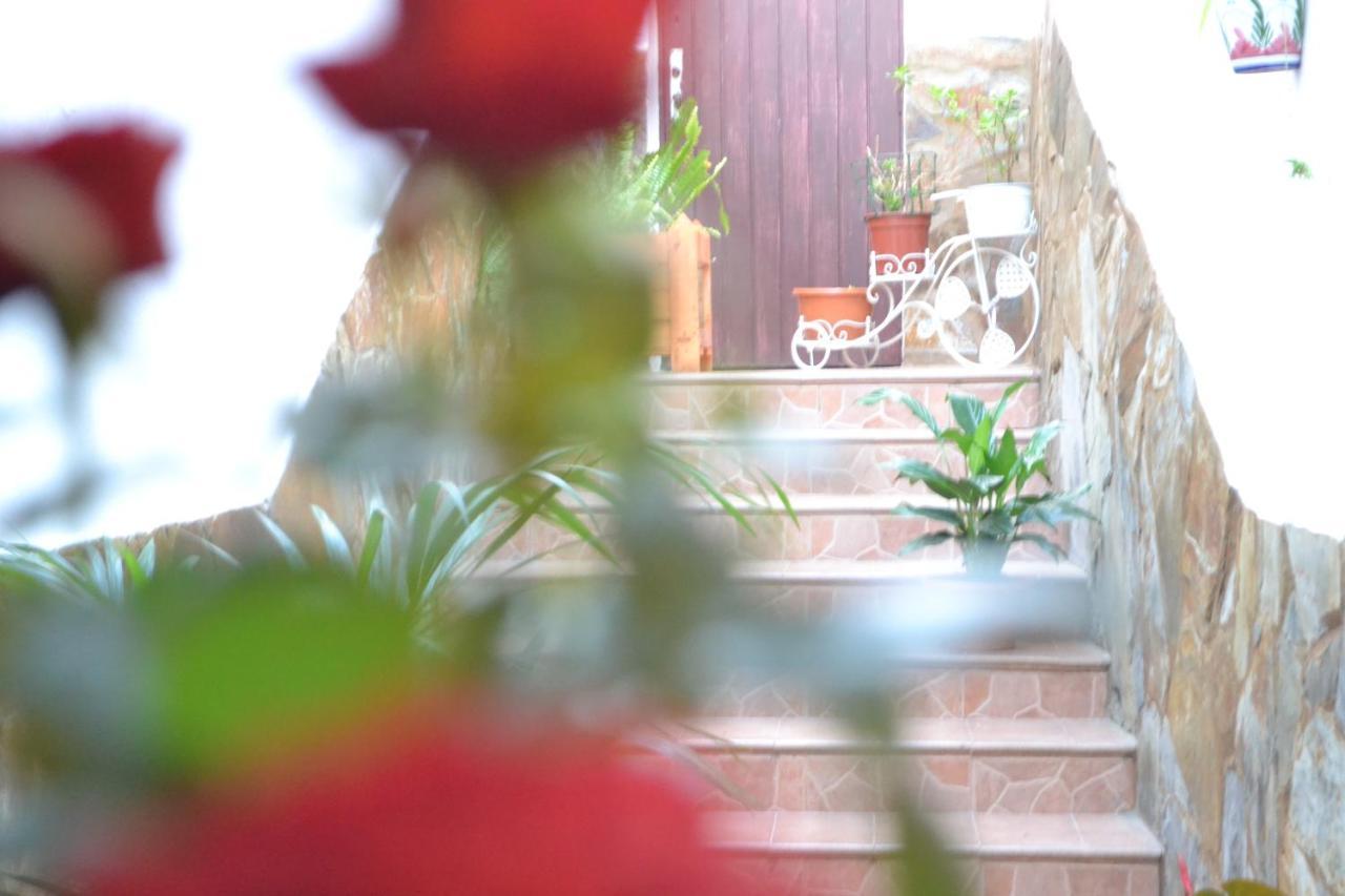 Casa Alamo Agaete Hotel Agaete  Kültér fotó