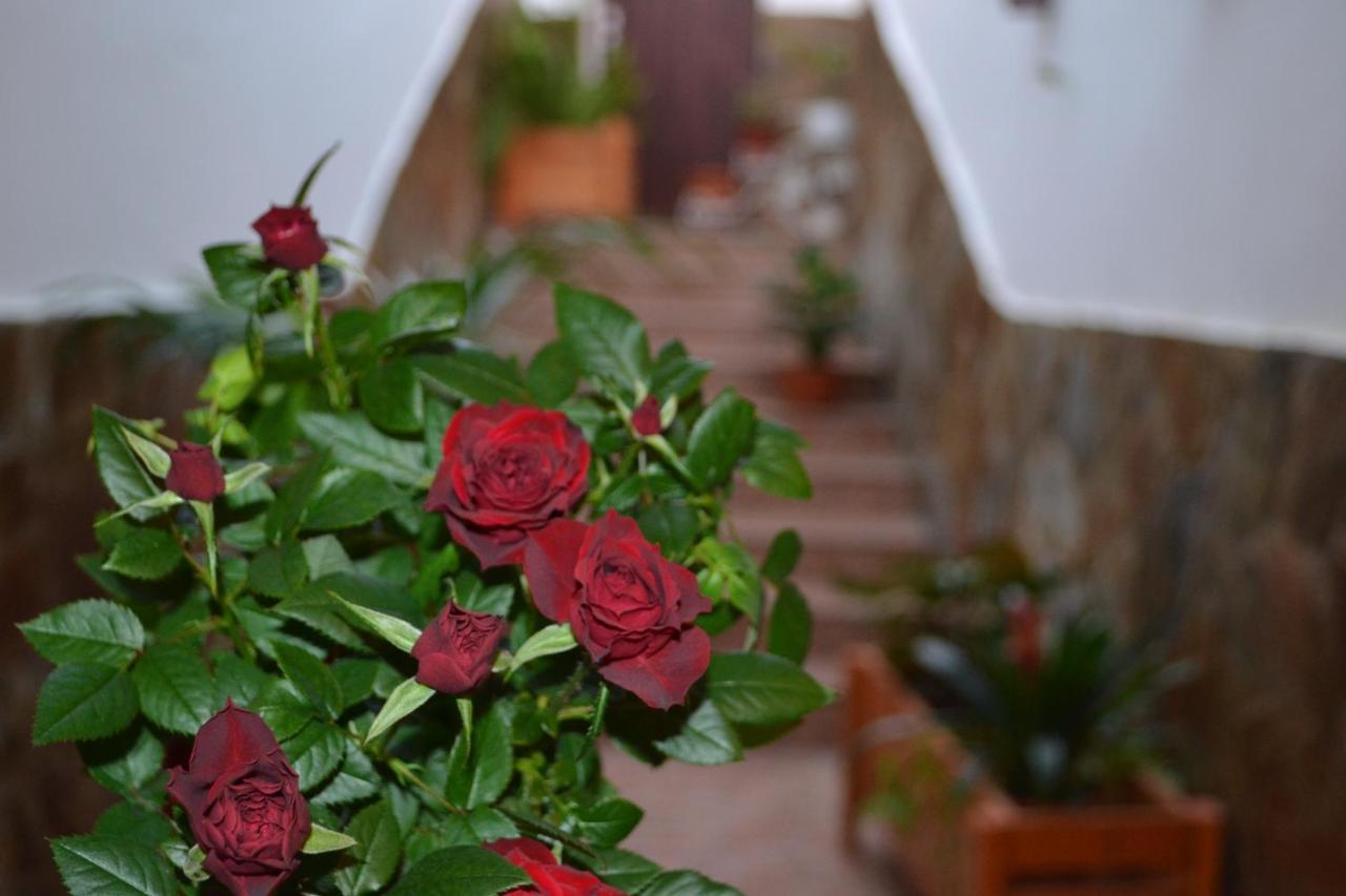 Casa Alamo Agaete Hotel Agaete  Kültér fotó